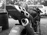 my steed